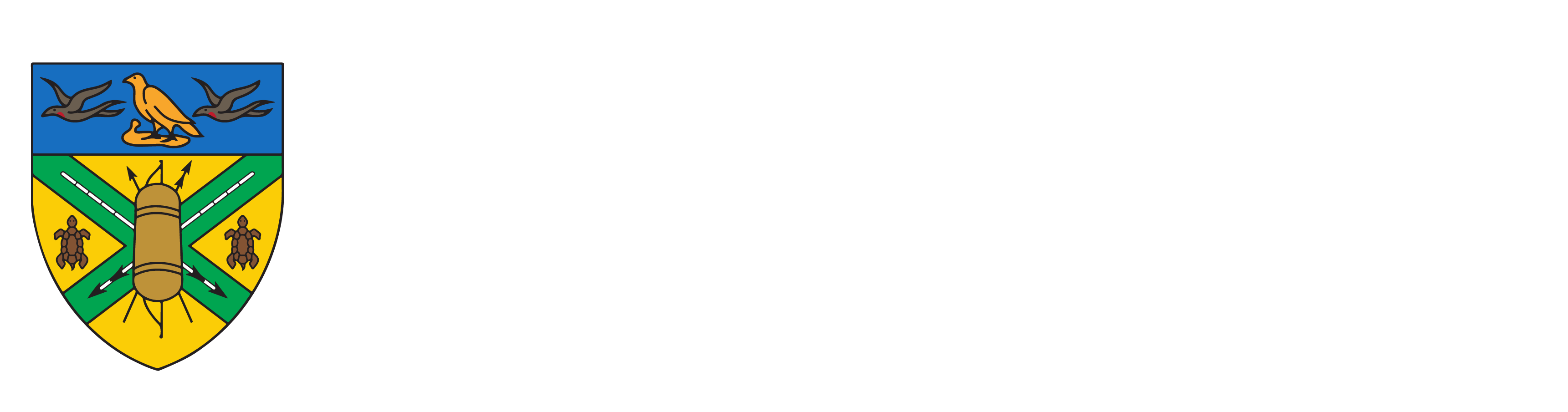 Sols-Corporate-Website